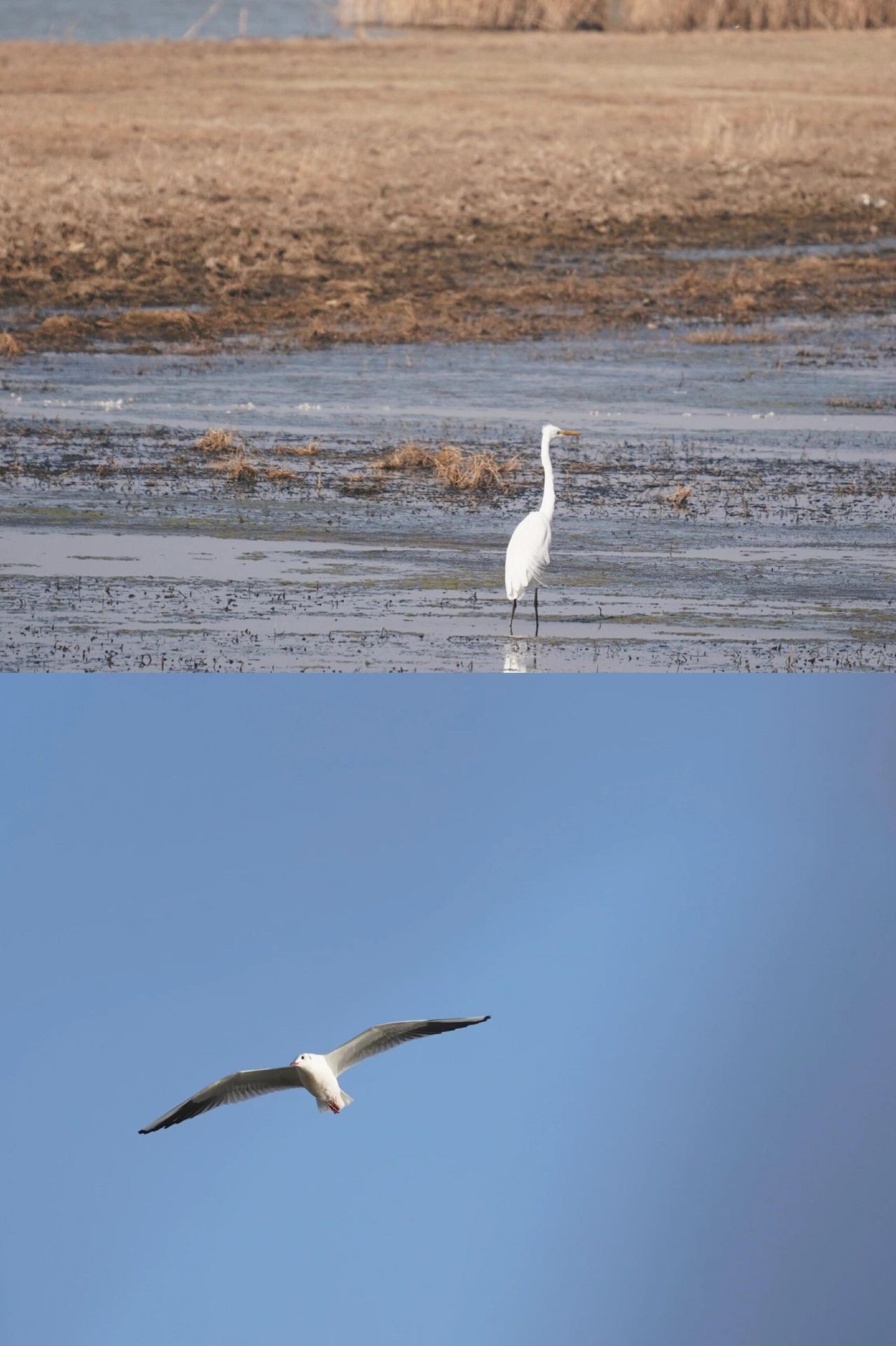 How to spend a weekend in Zhumadian