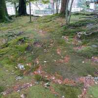 【石川県金沢市】日本庭園🌳日本の文化に触れる