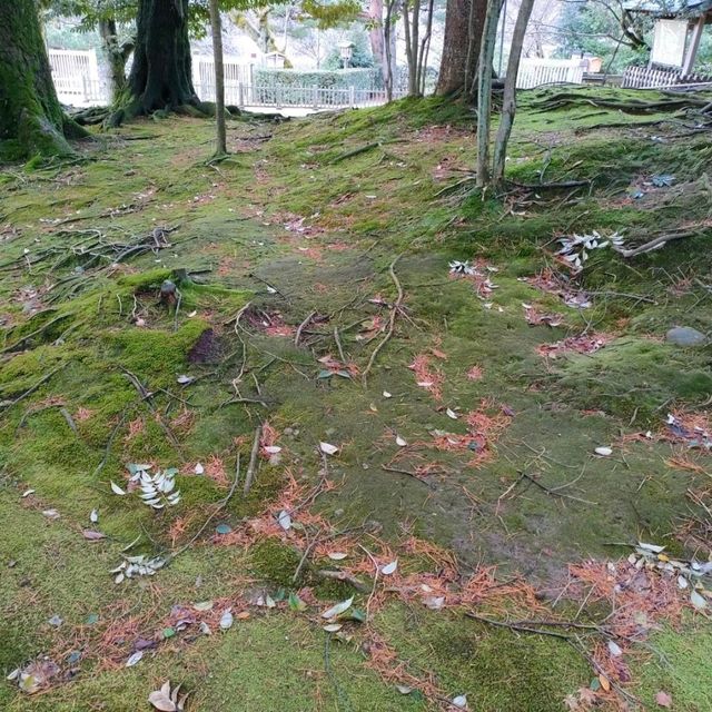 【石川県金沢市】日本庭園🌳日本の文化に触れる