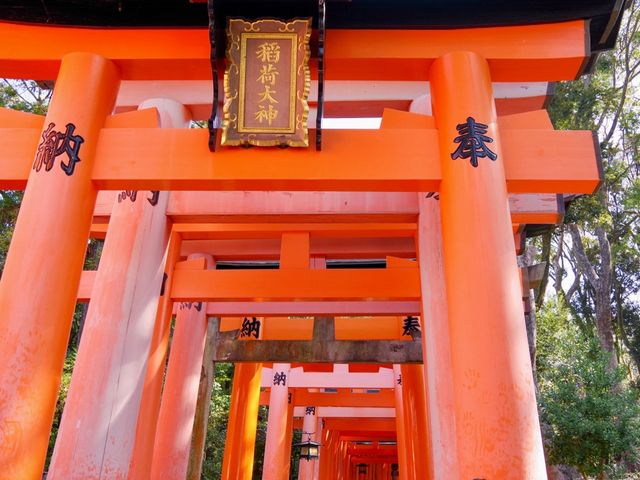 【京都市】無数の鳥居をくぐり山頂へ⛩