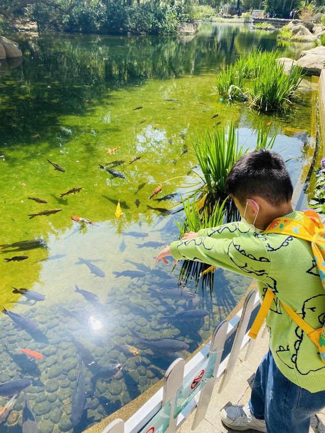 一次過欣賞各色各樣花卉  在市中心盛放📍香港公園