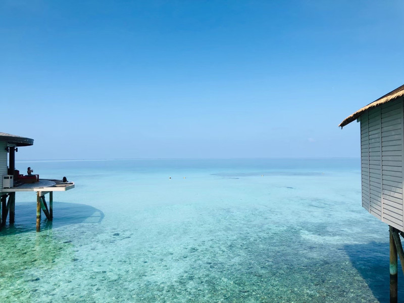 ทะเล 🌊 ณ เกาะ 🏝️มัลดีฟส์