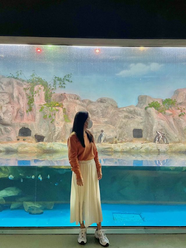 여수하면? 아쿠아플라넷