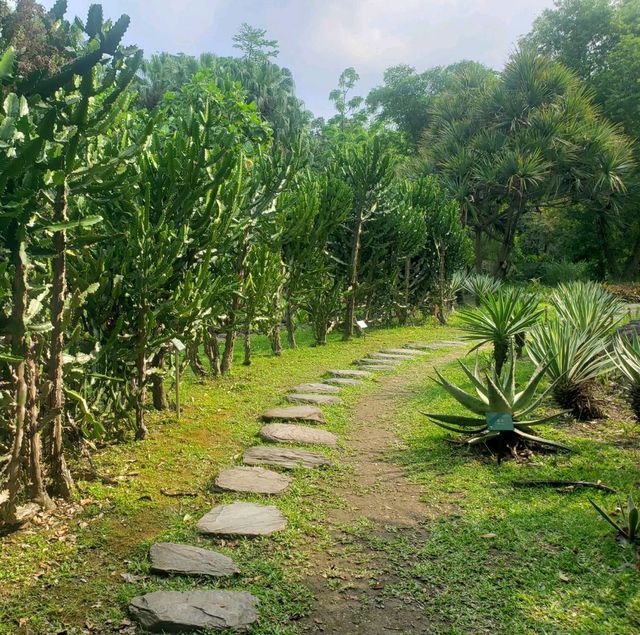 世外桃源【台北中正】台北植物園