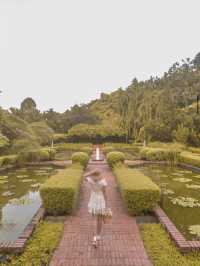 Explore The Singapore Botanic Gardens