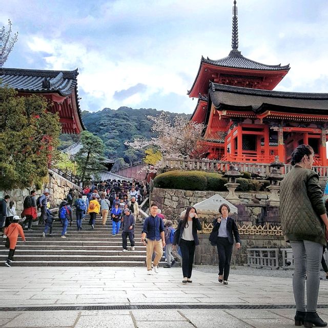 Kiyomizu-dera, Kyoto in Spring! 🌸🍀🌿🌱