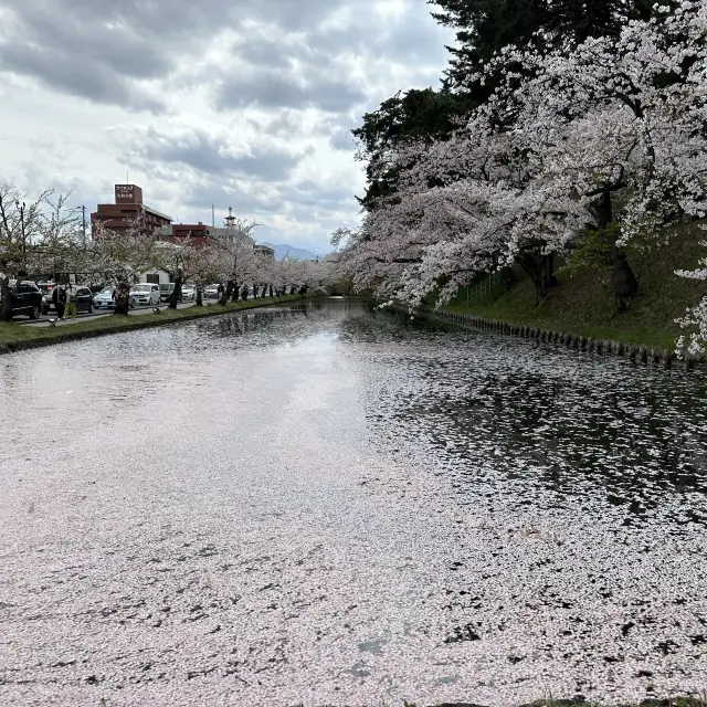 Hirosaki Castle!! 