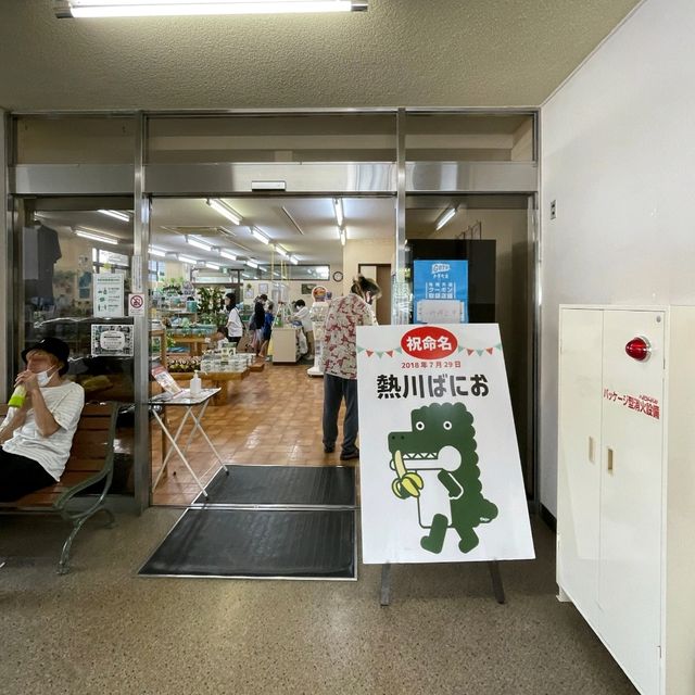 熱海バナナワニ園　チェックしてほしいグッズや限定品