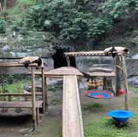 包羅萬有的重慶動物園