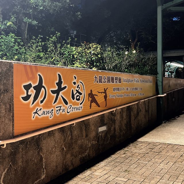 食飽飯散散步，夜遊九龍公園