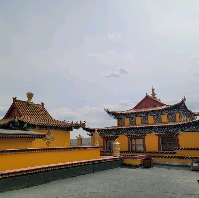 해외여행 중 몽골에서 들려보면 좋을 멋진 사원 Sain Nomuun Monastery