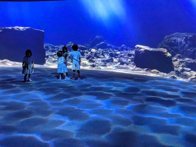 【札幌市内最大の水族館】夏休みにオススメ！ネイチャーアクアリウムも楽しめる水族館