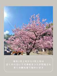 【静岡】わんこと行ける温泉公園♨️