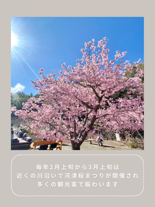 【静岡】わんこと行ける温泉公園♨️