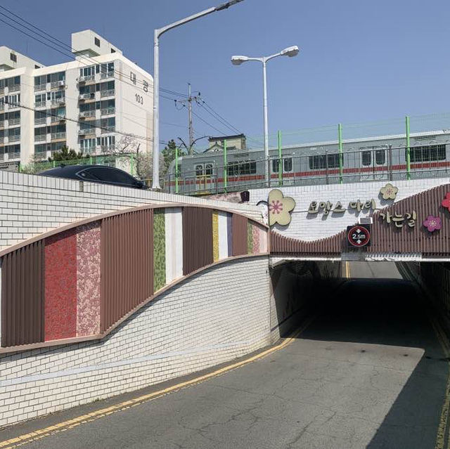 경남의 벚꽃명소 중 하나인, 진해 여좌천로망스다리