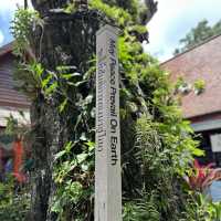 Doi Suthep - yes please! 