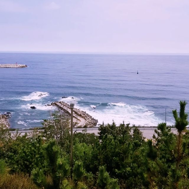 🌊 에메랄드 빛 파도와 소나무 향기 가득한 경포대