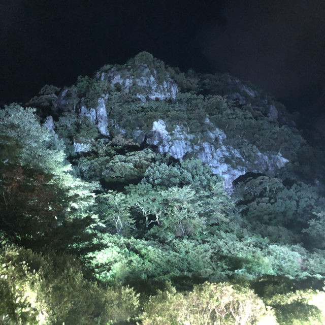【御船山楽園ホテル】サウナとチームラボを満喫