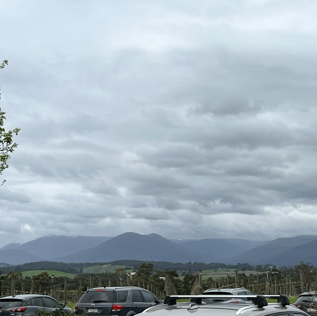 Melbourne Yarra Valley 