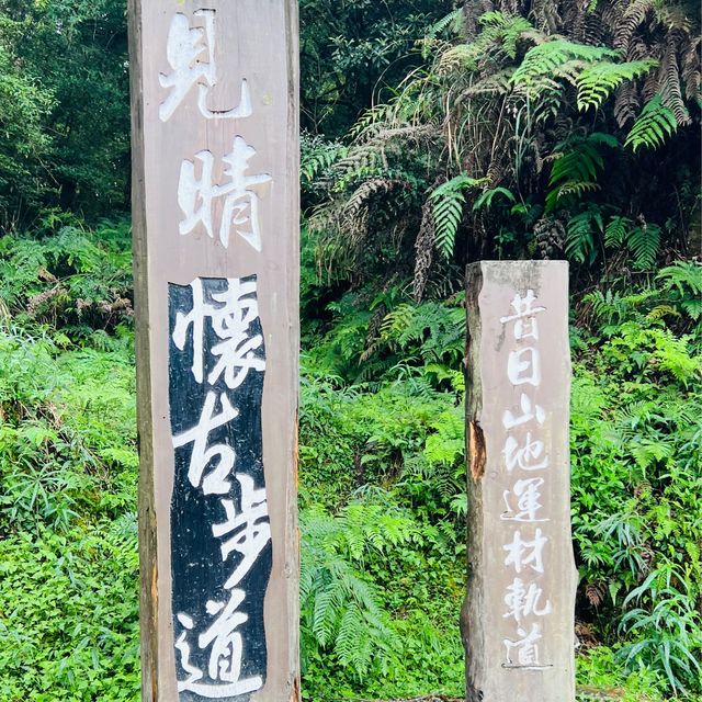 Take a trail stroll! 