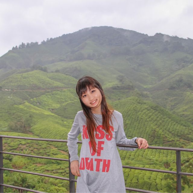 Breathtaking Tea Plantation