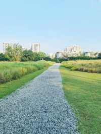 Jurong Lake Gardens