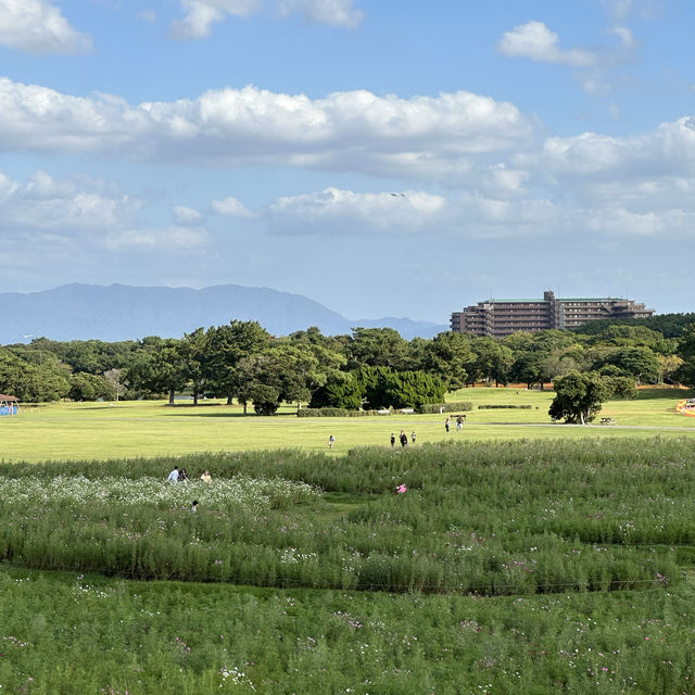 Uminonakamichi Seaside Park - Fukuoka