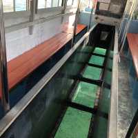【沖縄】石垣島の絶景スポット「川平湾」