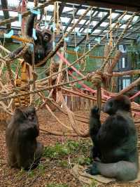 London Zoo