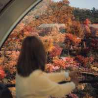 Beautiful Autumn Viewof Hwadam Botanic Garden