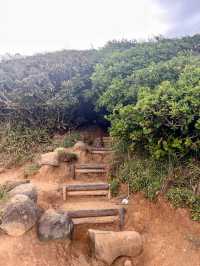 【大自然造就的糸島秘景】