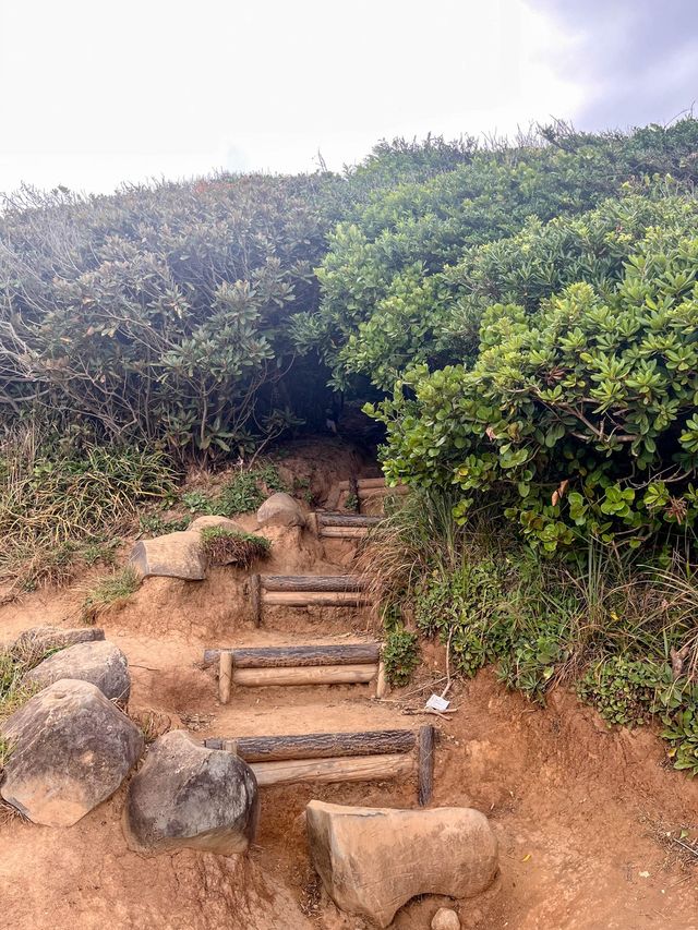 【大自然造就的糸島秘景】