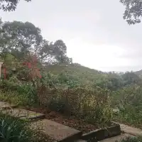 髻山