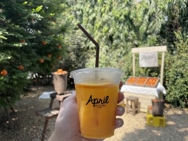 April flavors cafe คาเฟ่น่ารักใกล้กทม