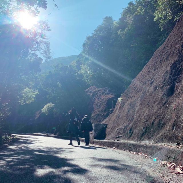 栢架山道自然徑➡️大潭水塘➡️淺水灣 栢架山道自然徑➡️大潭水塘➡️淺水灣
