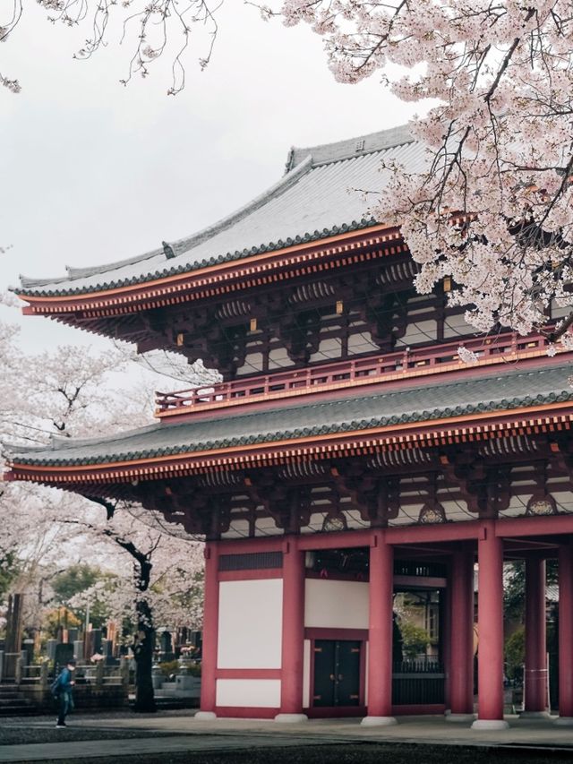 Ikegami Honmon-ji temple, Tokyo 🇯🇵