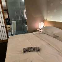 THE CAPITOL HOTEL TOKYU (JAPAN)