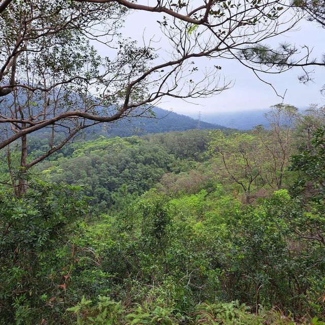 行山行山