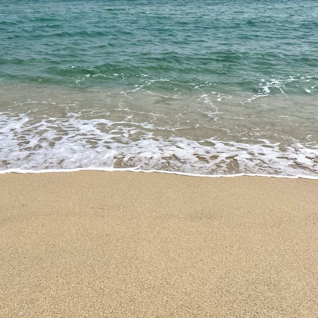 서퍼들이 좋아하는 파도가 몰려온다! 강릉해수욕장🏖️