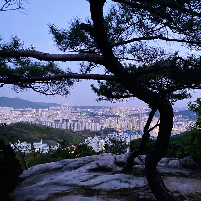 차로 편하게 즐기는 야경 맛집