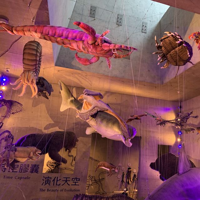 台南旅遊-台南左鎮化石園區
