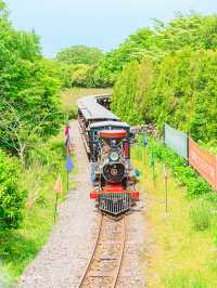 🚂제주에서 동화속으로 기차여행 가능한곳 [제주, 에코랜드]🌿