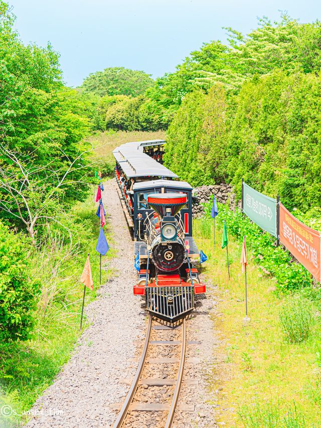🚂제주에서 동화속으로 기차여행 가능한곳 [제주, 에코랜드]🌿