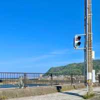 沿岸沿いの絶景　伊東半島ジオパーク