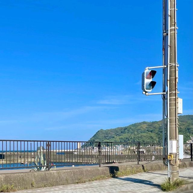 沿岸沿いの絶景　伊東半島ジオパーク