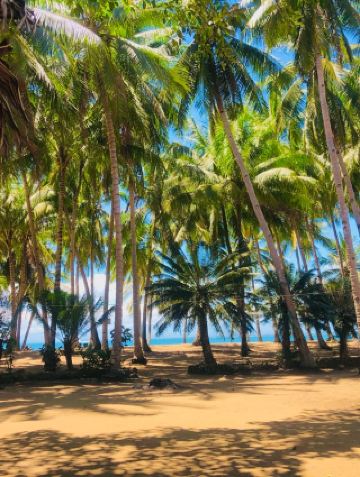 SIARGAO แห่ง GUIMARAS?