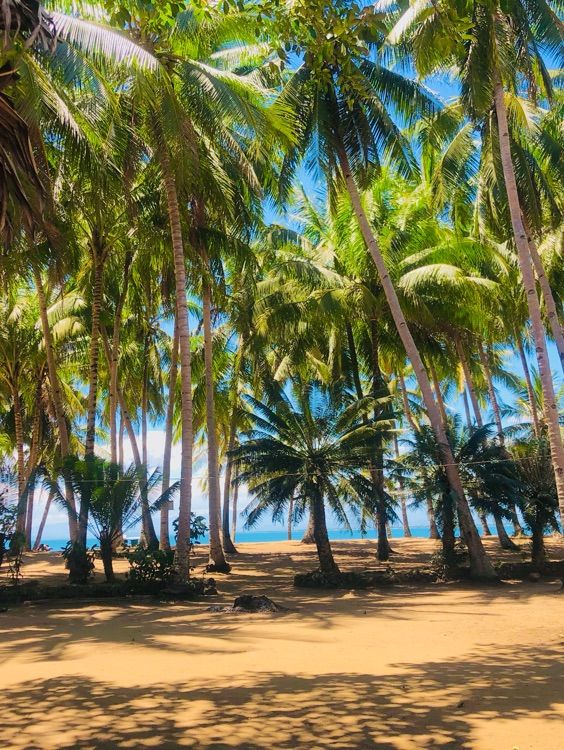 SIARGAO of GUIMARAS?