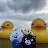 四遇鴨鴨Rubber Duck🤣