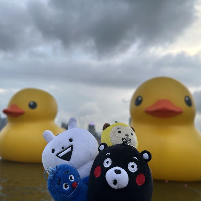 四遇鴨鴨Rubber Duck🤣