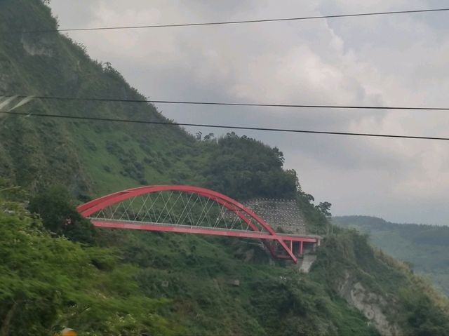 阿里山遠古森林吸收大自然天地靈氣